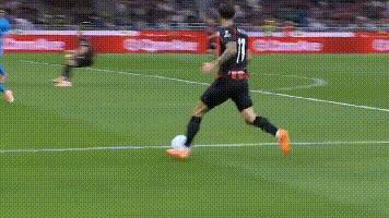 关于焦点大战：游泳上演巅峰碰撞的信息