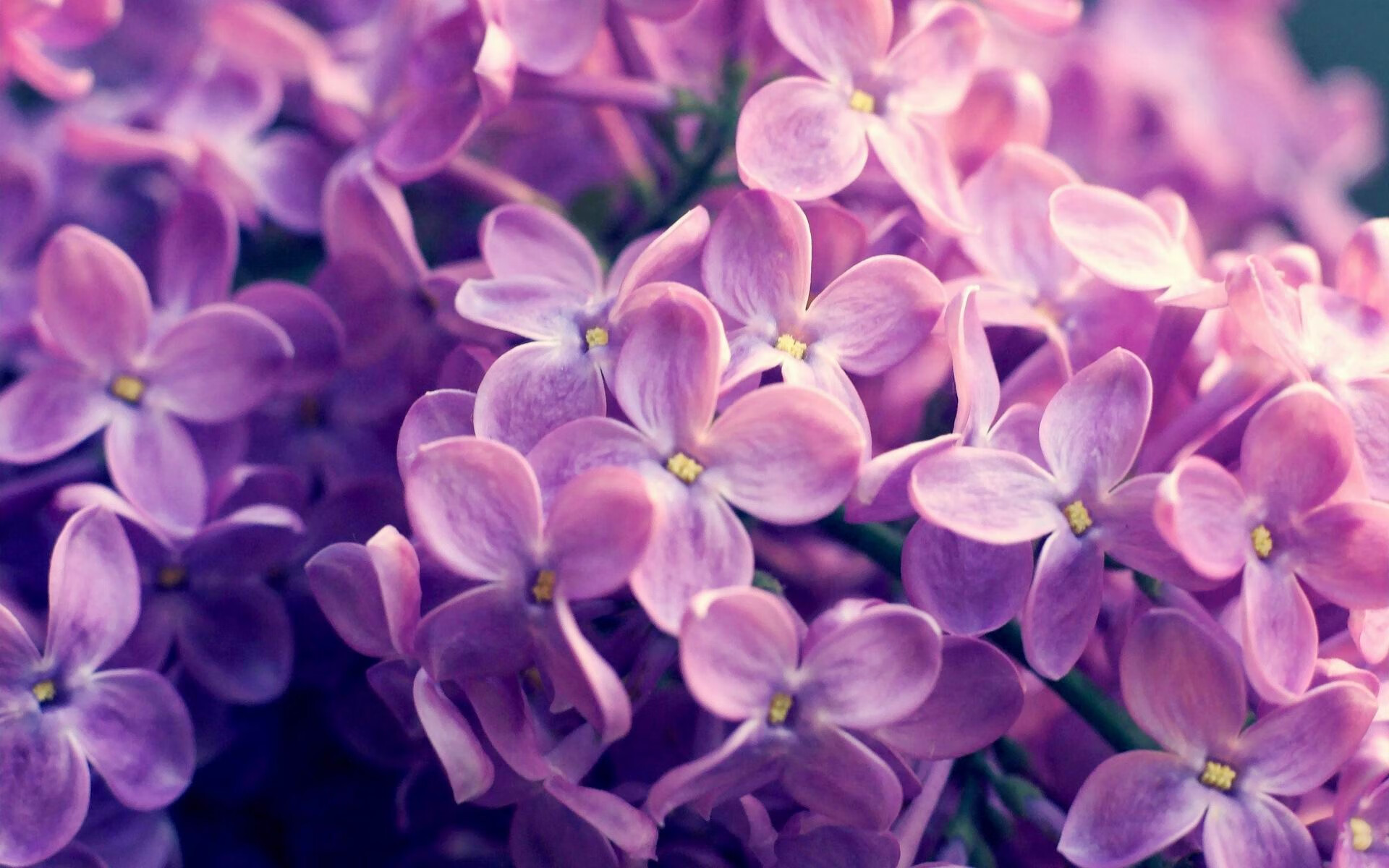 寂静守护与正面击溃，金玟哉如何在费内巴切的狂潮中筑起那不勒斯的胜利之墙