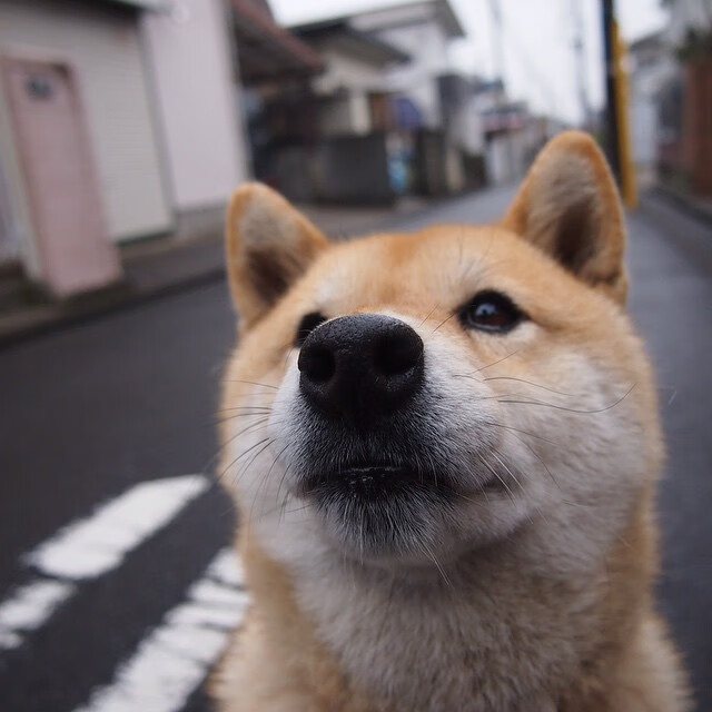 关键时刻的巨人,当凡人于深渊边缘接管比赛