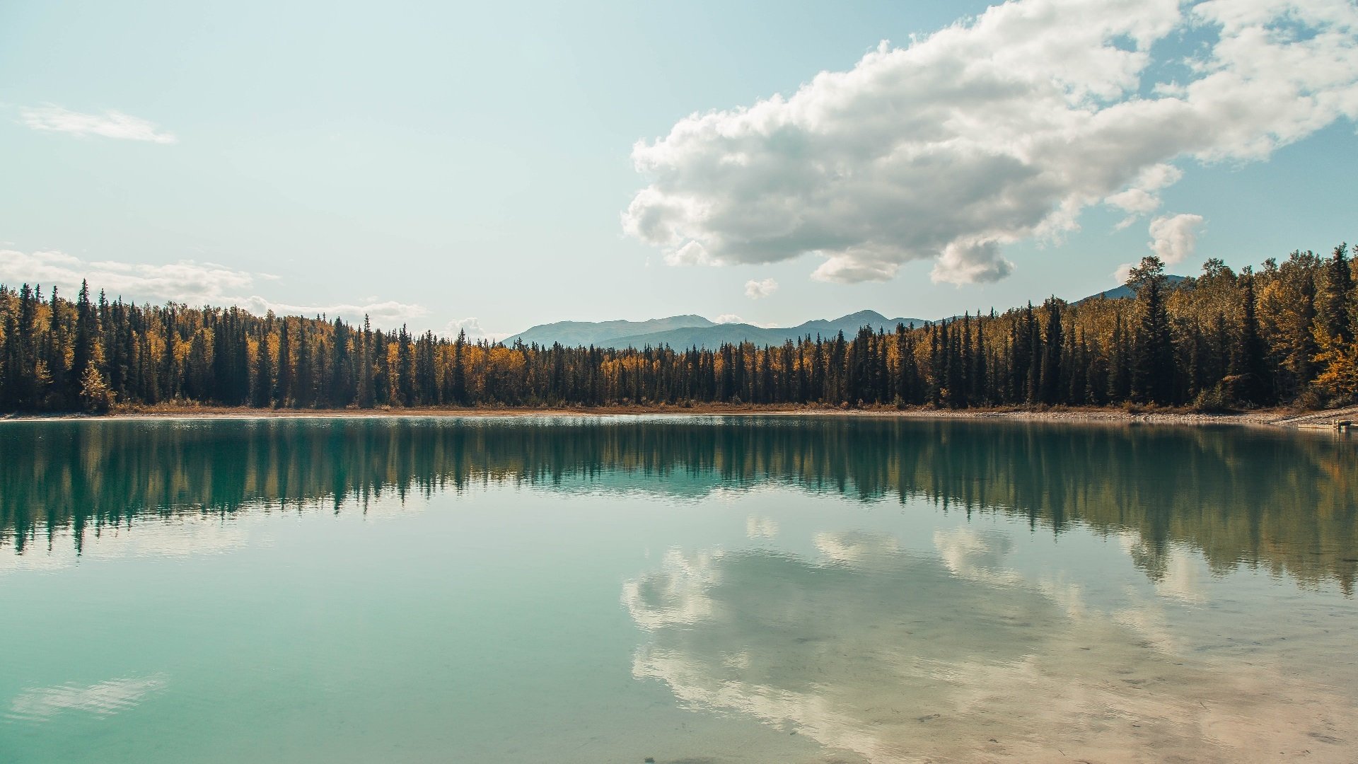 锁链与烈焰，小贾伦的灰烬重生记