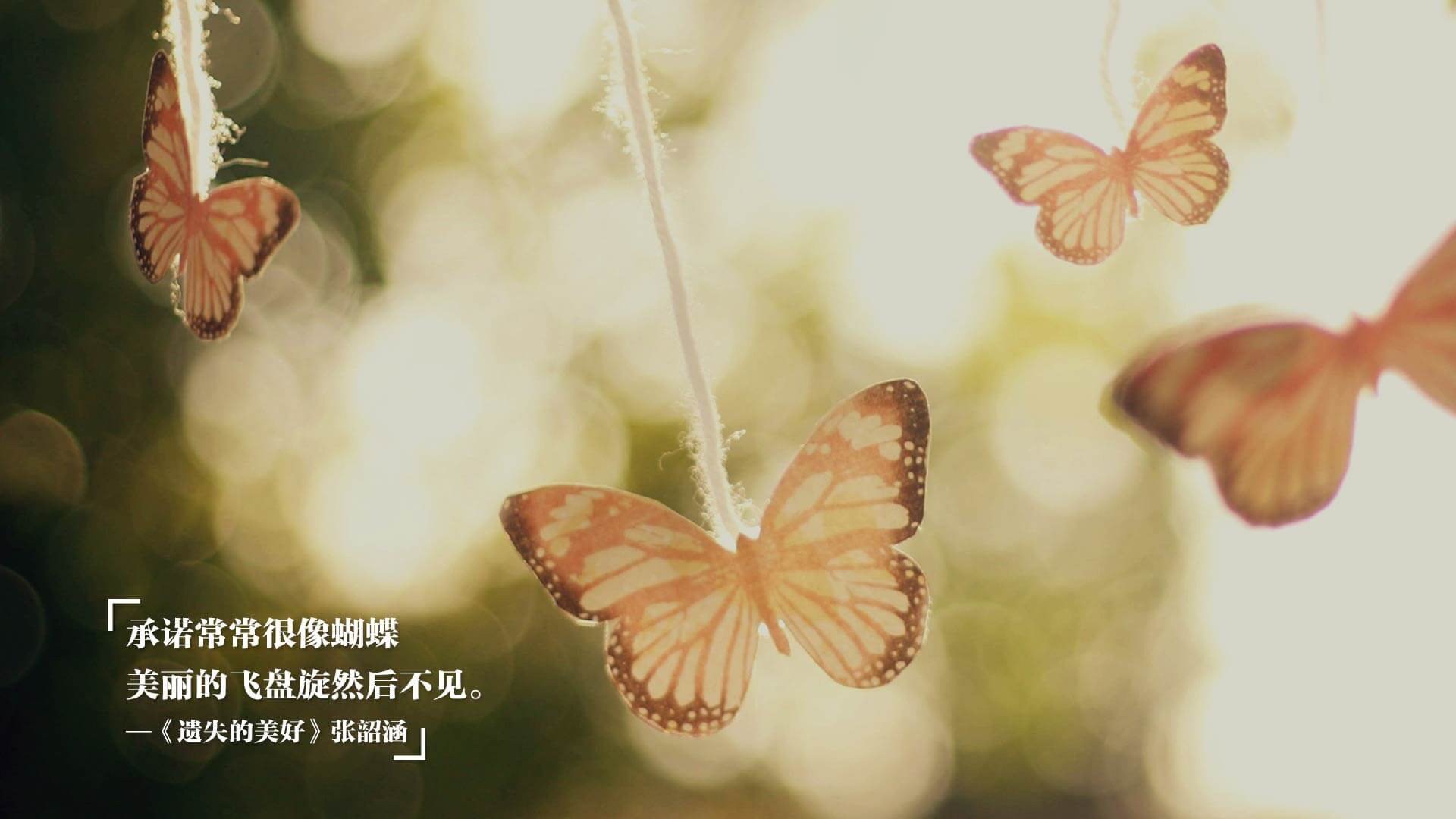 从北半球到南十字星，当凯恩的钢铁意志照亮塞维利亚之夜，新西兰的鏖战精神在绿茵场回响