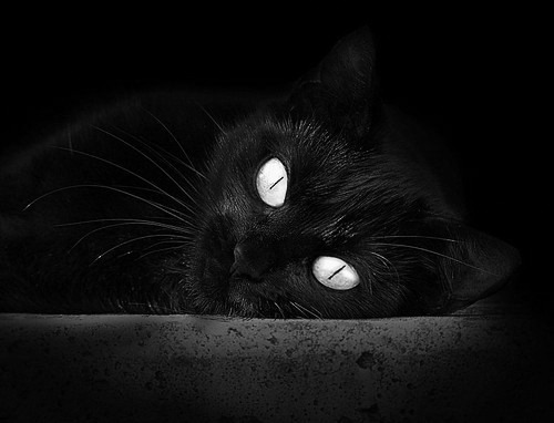 决胜千钧一发，当篮球绝杀遇见赛车超车，唯一性如何炼成