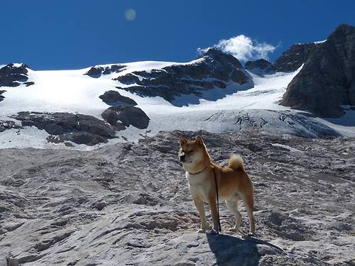 当穆勒的节拍器遇上巴萨的Tiki-Taka,一场改变足球认知的相遇