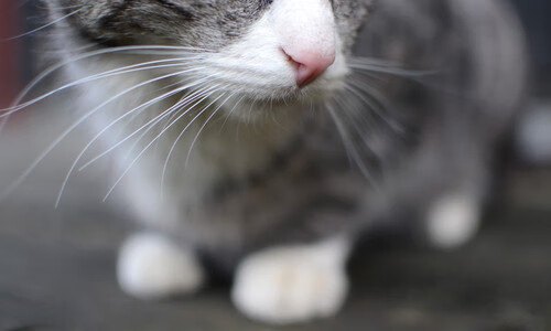 英雄密码,黄喜灿在西决生死战之夜,何以赢得拉满评分?