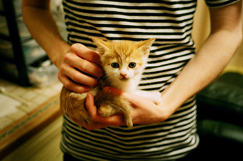 夜行赛道与绿茵月光，当F1引擎轰鸣遇见武切维奇的一剑封喉