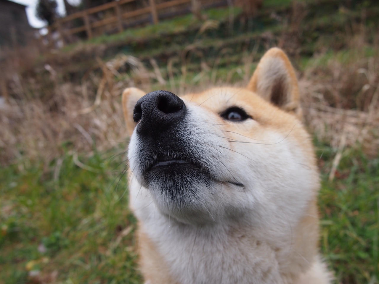 公牛獠牙刺穿篮网，拉文44分接管加时，步行者血拼奏响防守悲歌