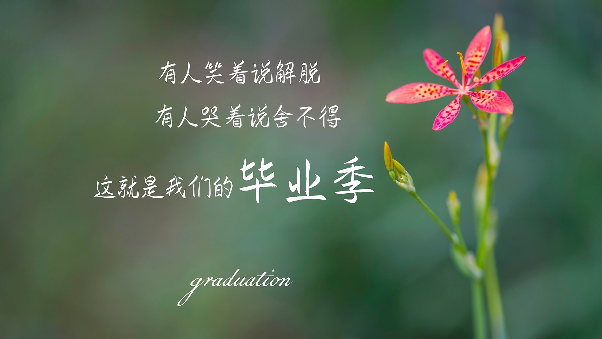 草根绞杀战 vs 独角兽进化论，切特如何让非典型胜利成为雷霆最锋利的矛