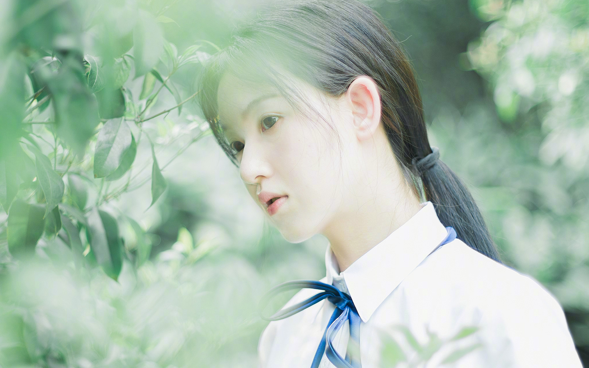 地中海畔的逆袭,世界排名焦点战,摩纳哥如何终结非洲脊梁马里?