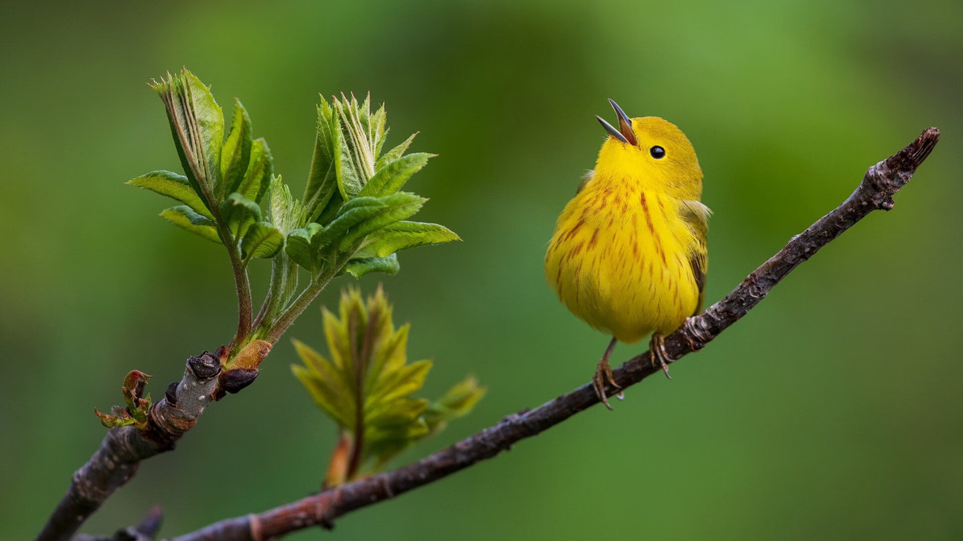 开云体育平台APP-绿茵西决，当玻利维亚逆转史诗映照姆巴佩的生死接管