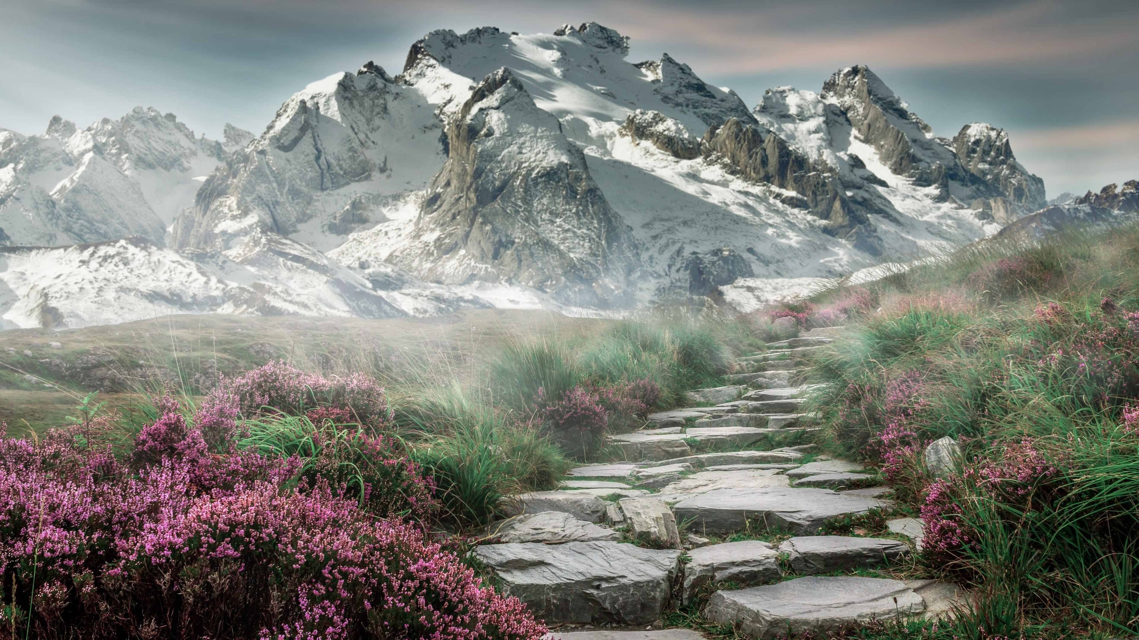 南半球的战术罗盘，当苏亚雷斯掌控节奏，苏格兰封锁新西兰